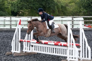 Class 6 - Fences not above 2'9